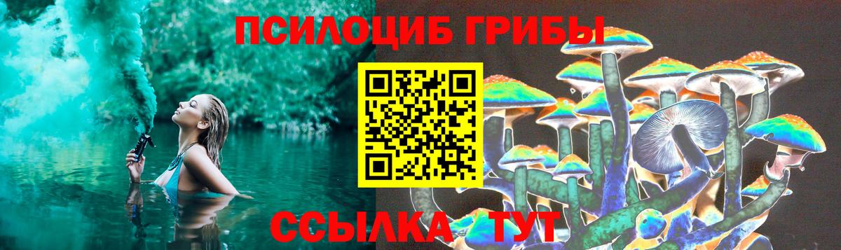 Сергиев Посад  Псилоцибиновые грибы прущие грибы  Вход с VPN  Галлюциногенные грибы Cubensis 